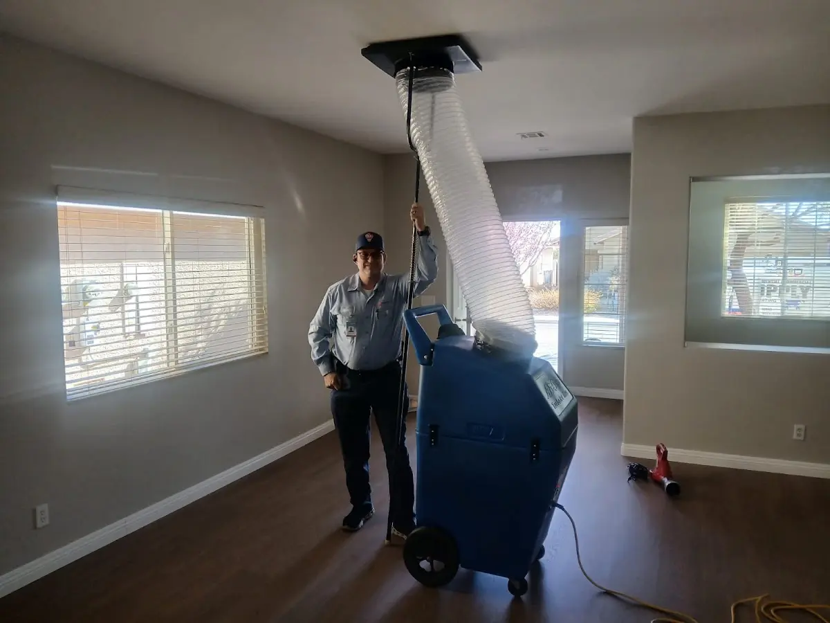 Professional Dryer Vent Cleaning work inside a South Apopka home